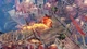 Гра Sacred 3 для ПК (Ключ активації Steam) - изображение 2