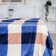 Бамбуковый плед в полоску Colorful home Шарпей Клетка 200х220см Синий с бежевым и кремовым - изображение 1