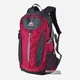 Рюкзак Onepolar W1802 20 л Red - изображение 1