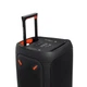 JBL PartyBox 310 (JBLPARTYBOX310MCEU) + Мікрофон JBL Partybox Microfoon PBM 100 Black (JBLPBM100BLK) - зображення 3