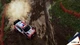 Ключ активации WRC 10 Deluxe Edition Xbox One & Xbox Series X|S - изображение 2