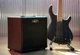 Комбоусилитель Cort CM20B - изображение 5