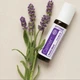 Смесь эфирных масел dōTERRA Kids Calmer / «Спокойнее» в роллере 10 ml - изображение 2