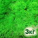 Стабилизированный мох ягель Nordic moss Зеленый травяной светлый 3 кг - изображение 1