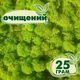 Очищений стабілізований мох ягель Зелений весняний 25 грам - зображення 1