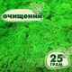 Очищений стабілізований мох ягель Зелений трав'яний світлий 25 грам - зображення 1