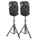 Активная акустическая система NGS PARTY 12 2*12″, 300W - изображение 1