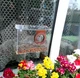 Кормушка для птиц на окно House_for_birds "ФОТОАППАРАТ" в подарочной упаковке - изображение 1