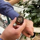 Curren 8336 Gold-Black - изображение 8