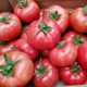 Семена томатов DRS-Seminis Пинк ид f1 (пинк айди f1, pink id f1) 500 семян - изображение 2