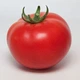 Насіння томатів Kitano Seeds Кс 21 f1 (ks 21 f1) 100 насінин - зображення 1