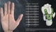 Перчатки игровые Select Players Gloves XL Черный (5703543079209) - изображение 2