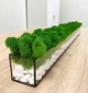 Моссариум со стабилизированым мхом MiNature Moss 80см - изображение 2