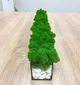 Моссариум со стабилизированым мхом MiNature Moss 80см - изображение 3