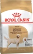 Корм для собак Royal Canin LABRADOR RETRIEVER ADULT породи Лабрадор Ретрівер 12 кг - зображення 2