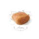 Сухой корм Royal Canin Poodle Adult для взрослых собак старше 10 месяцев 1.5 кг - изображение 3