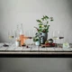 Набор бокалов для вина Schott Zwiesel Vivid Senses Flavoursome & Spice 660мл 122429 - изображение 4