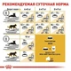 Сухий корм для котів Royal Canin MAINE COON ADULT для котів породи Мейн-кун 4кг - зображення 4