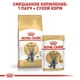 Сухий корм для кішок Royal Canin BRITISH SHORTHAIR ADULT для кішок породи Британська короткошерста 400г - зображення 3