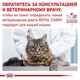 Влажный корм для кошек Royal Canin Gastro Intensial Moderate calorie 85г - изображение 3