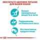 Влажный корм для кошек Royal Canin WET URINARY CARE консервы для котов 85г - изображение 3
