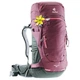 Рюкзак Deuter Rise 32+ SL цвет 5207 maron-ivy (3301218 5207) - изображение 1