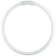 Лампа люминесцентная 22W 75V 1800lm 4000K 2GX13 DIM ⌀240 кольцевая [4050300528465] LUMILUX T5 FC OSRAM - изображение 2