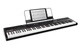Цифровое пианино ALESIS RECITAL 85962 - изображение 1
