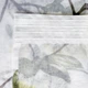 Занавеска из батиста Пион Желтый Adagio Windows Decor, тюль с крупными цветами 250 х 170см, тюлевые шторы на тесьме - изображение 4