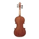 Скрипкa GLIGA AWV044 (Violin 4/4 Gems I) 55200 - изображение 2