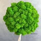Дерево со стабилизированым мхом MiNature Moss ягель норвежский - изображение 4