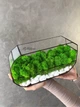 Моссариум MiNature Moss со стабилизированным мхом ягель норвежский - изображение 2