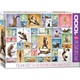 Пазл Eurographics Йога Кішки 1000 елементів (6000-0953) - зображення 1