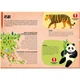 Sassi Travel, Learn and Explore: Animals: Endangered Species of the World Carry Puzzle. Sassi. ISBN:9788830302594 - изображение 4