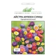 Астра Арлекін суміш Різнобарвний Насіння Florium (726444) - зображення 2