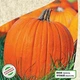 Семена Тыква Желтый Гигант Florium (722004) - изображение 2