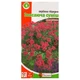 Вербена гібридна звисаюча суміш Різнобарвний Насіння Florium (726490) - зображення 3