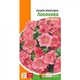 Петунія мініатюрна Лососева Лососевий Насіння Florium (725041) - зображення 3