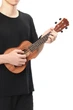 Укулеле ZEBRA SOPRANO NATURAL 21" - изображение 5