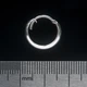 Серьга серебряная, кольцо пиратское (eas-053) (00000002921) - изображение 1