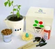 Подарочный набор GreenPet "Тучка" Янтарный огурчик Коктейльный - изображение 5