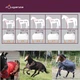 Попона для лошади Fouganza Stable Light хлопковая 145 см (1398960) - зображення 4