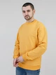 Свитшот Solo спортивный M Горчичный Mn947 - изображение 1