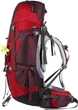 Рюкзак Deuter Aircontact 60 + 10 SL цвет 5518 aubergine-cranberry (3320416 5518) - изображение 4
