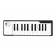 MIDI контроллер и MIDI клавиатура Arturia MicroLAB-Black 194534 - изображение 1