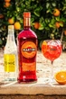 Вермут Martini Fiero 0.75 л 14.9% + Тоник 1 л (8011210097058) - изображение 5