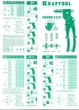 Заклепочник Kraftool Combo3-M6 поворотный резьбовые заклепки (М3-М6), вытяжные (2.4-4.8 мм) - изображение 3