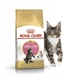 Сухий корм Royal Canin Maine Coon Kitten для кошенят породи мейн-кун до 15 місяців 4 кг - зображення 1