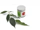 Чай Teahouse (Тиахаус) Матча церемониальная 50 г (Tea Teahouse Matcha ceremonial 50 g) - изображение 1