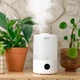 Увлажнитель воздуха Levoit Smart Humidifier Dual 200S - изображение 4